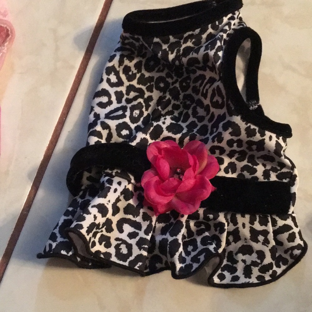 Five small pet dresses and coverups - Picture 4 of 6